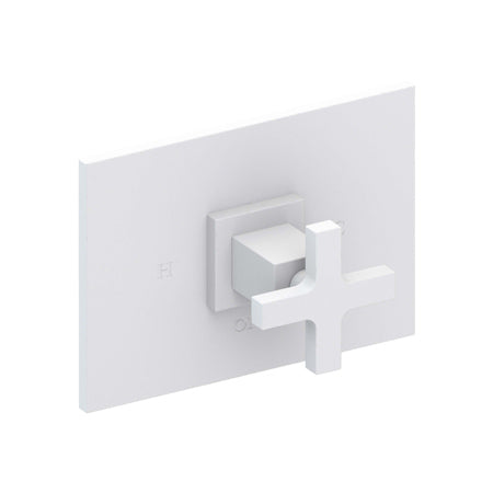 Balanced Pressure Shower Trim Plate With Handle. Less Showerhead, Arm And Flange. in Multiple Finishes