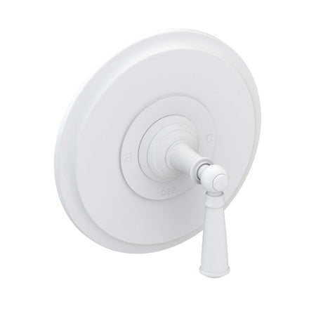 Balanced Pressure Shower Trim Plate With Handle. Less Showerhead, Arm And Flange. in Multiple Finishes