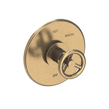 Balanced Pressure Shower Trim Plate With Handle. Less Showerhead, Arm And Flange. in Multiple Finishes