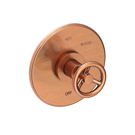 Balanced Pressure Shower Trim Plate With Handle. Less Showerhead, Arm And Flange. in Multiple Finishes