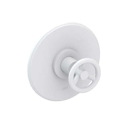 Balanced Pressure Shower Trim Plate With Handle. Less Showerhead, Arm And Flange. in Multiple Finishes