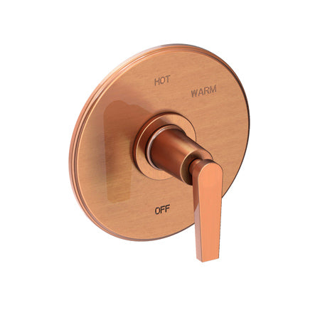 Balanced Pressure Shower Trim Plate With Handle. Less Showerhead, Arm And Flange. in Multiple Finishes