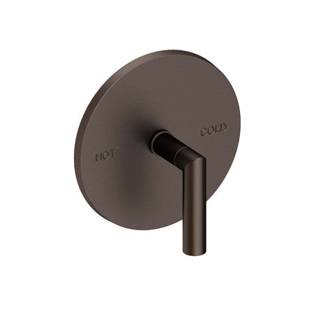 Balanced Pressure Shower Trim Plate With Handle. Less Showerhead, Arm And Flange. in Multiple Finishes