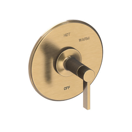 Balanced Pressure Shower Trim Plate With Handle. Less Showerhead, Arm And Flange. in Multiple Finishes