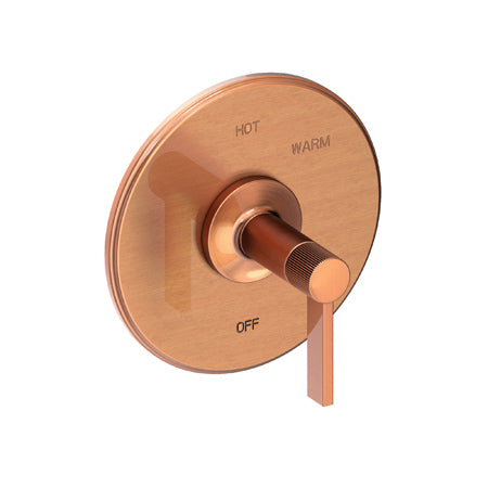 Balanced Pressure Shower Trim Plate With Handle. Less Showerhead, Arm And Flange. in Multiple Finishes