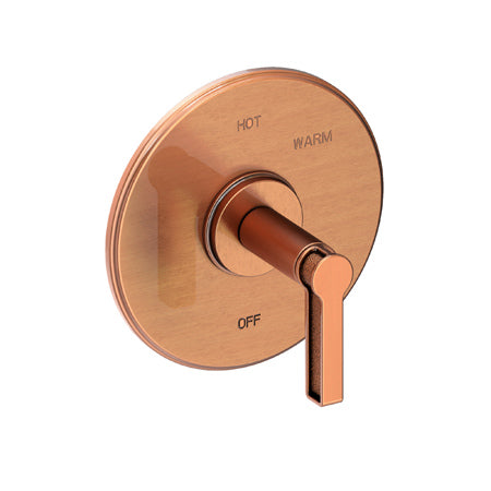 Balanced Pressure Shower Trim Plate With Handle. Less Showerhead, Arm And Flange. in Multiple Finishes