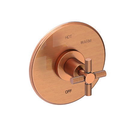 Balanced Pressure Shower Trim Plate With Handle. Less Showerhead, Arm And Flange. in Multiple Finishes