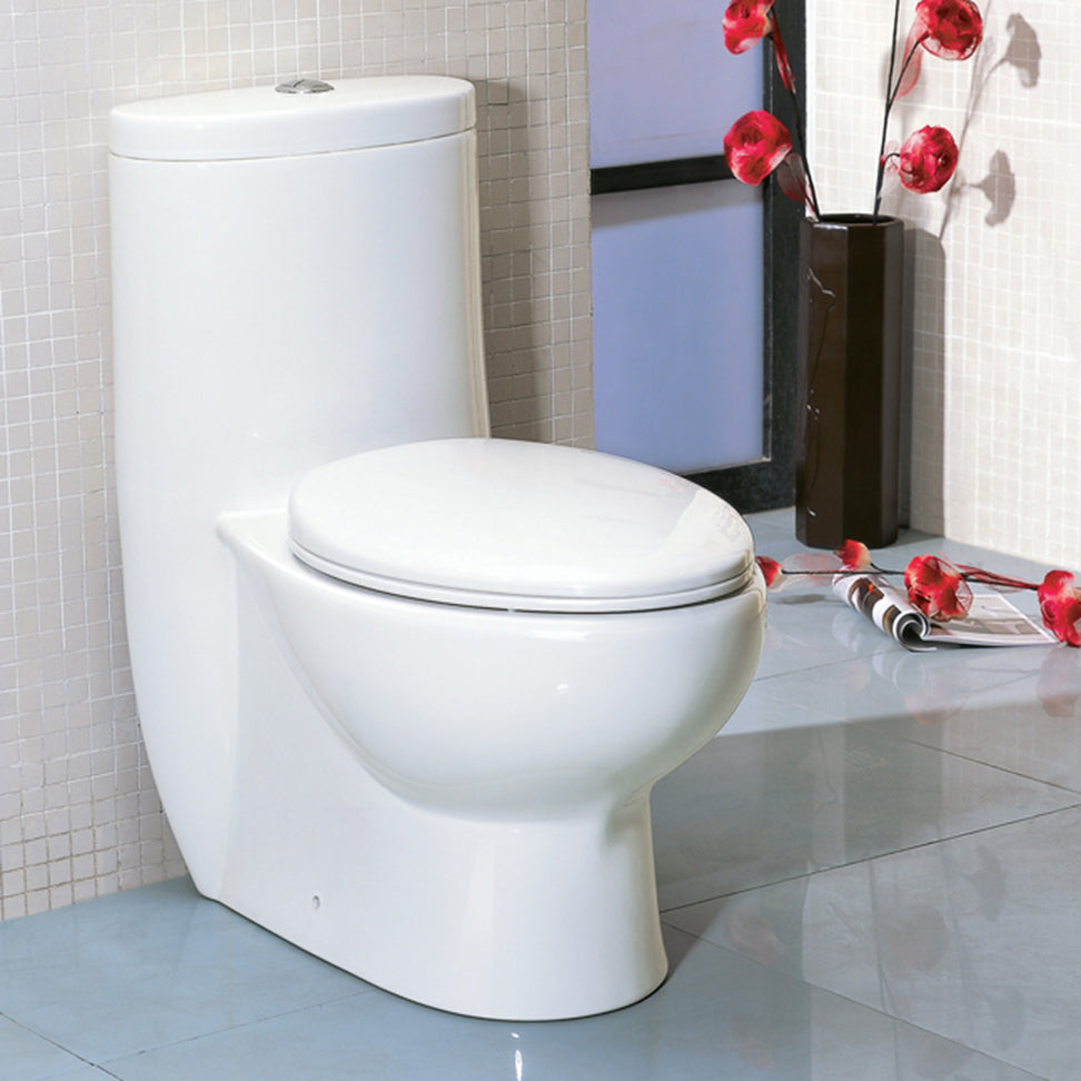 Floor -standing elongated one-piece porcelain toilet with siphonic dual flush system 1.6 gpf and 0.8 gpf, include a seat cover and tank . 16"W 28 3/8"D, 30 3/4"H - Maison&Co.