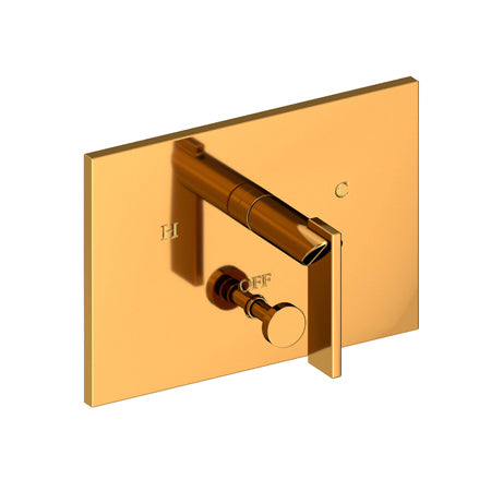 Balanced Pressure Tub & Shower Diverter Plate With Handle in Multiple Finishes