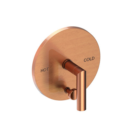 Balanced Pressure Tub & Shower Diverter Plate With Handle in Multiple Finishes