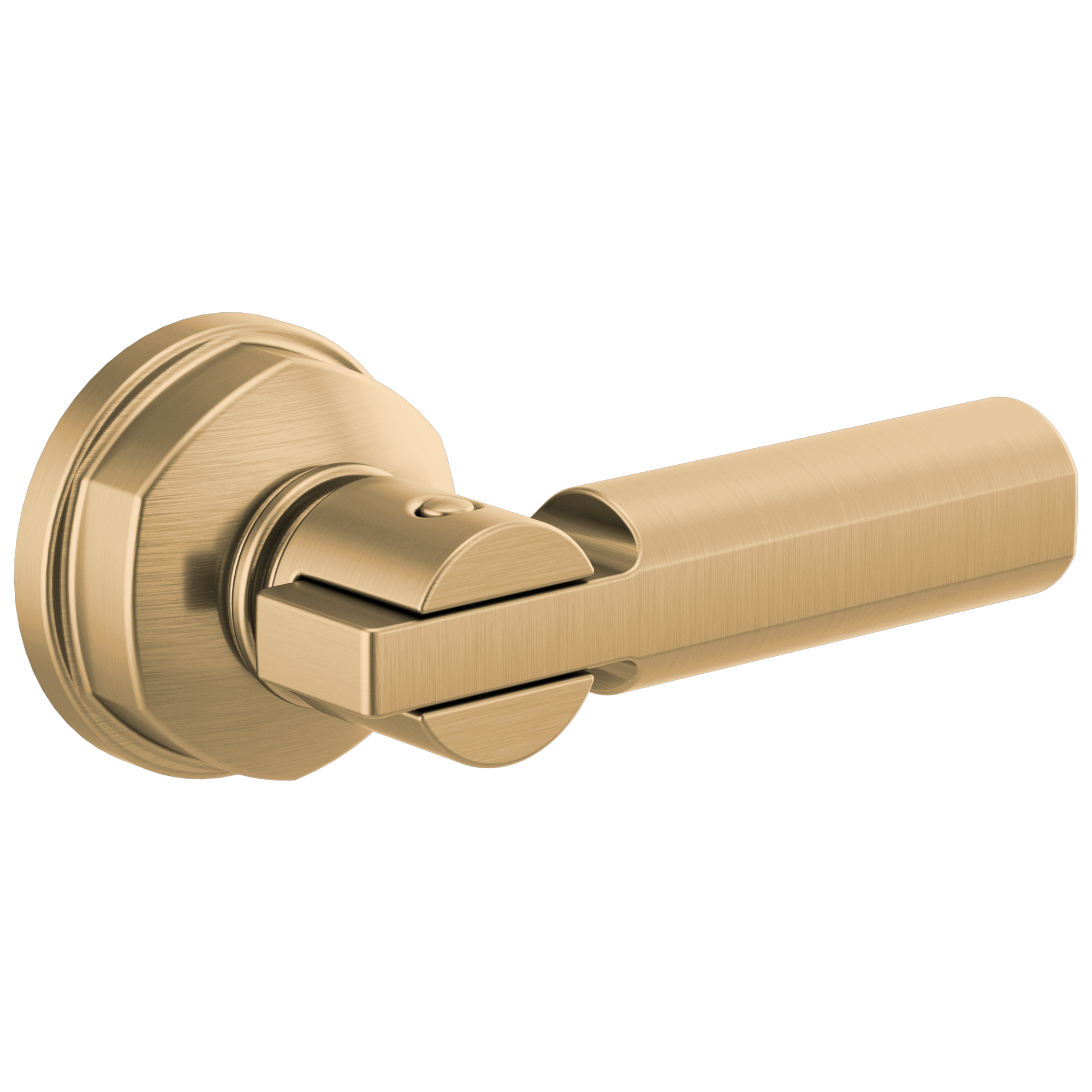 Brizo Invari®: Universal Flush Lever - Maison&Co.