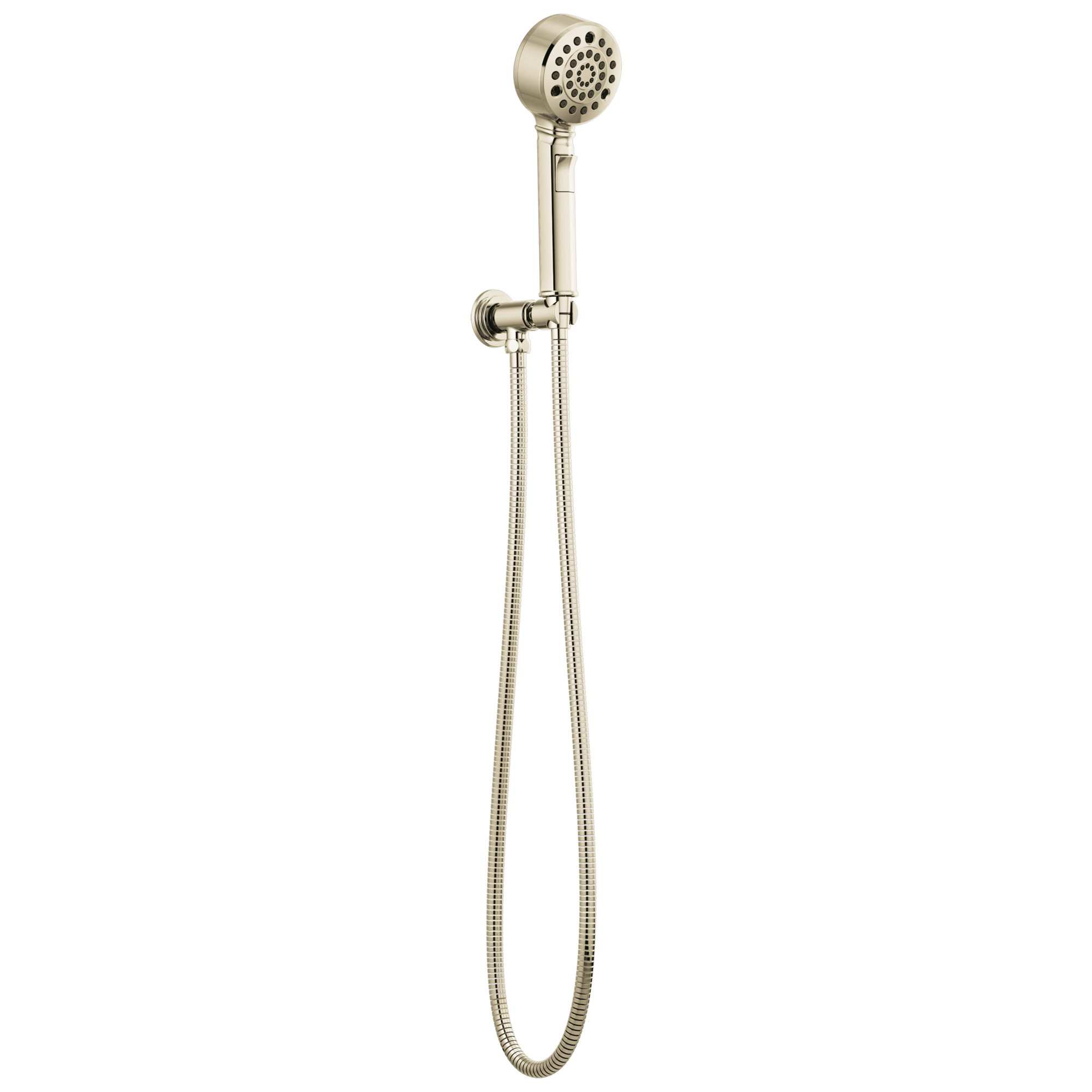 Brizo Invari®: H2Okinetic® Multi-Function Wall Mount Handshower - Maison&Co.