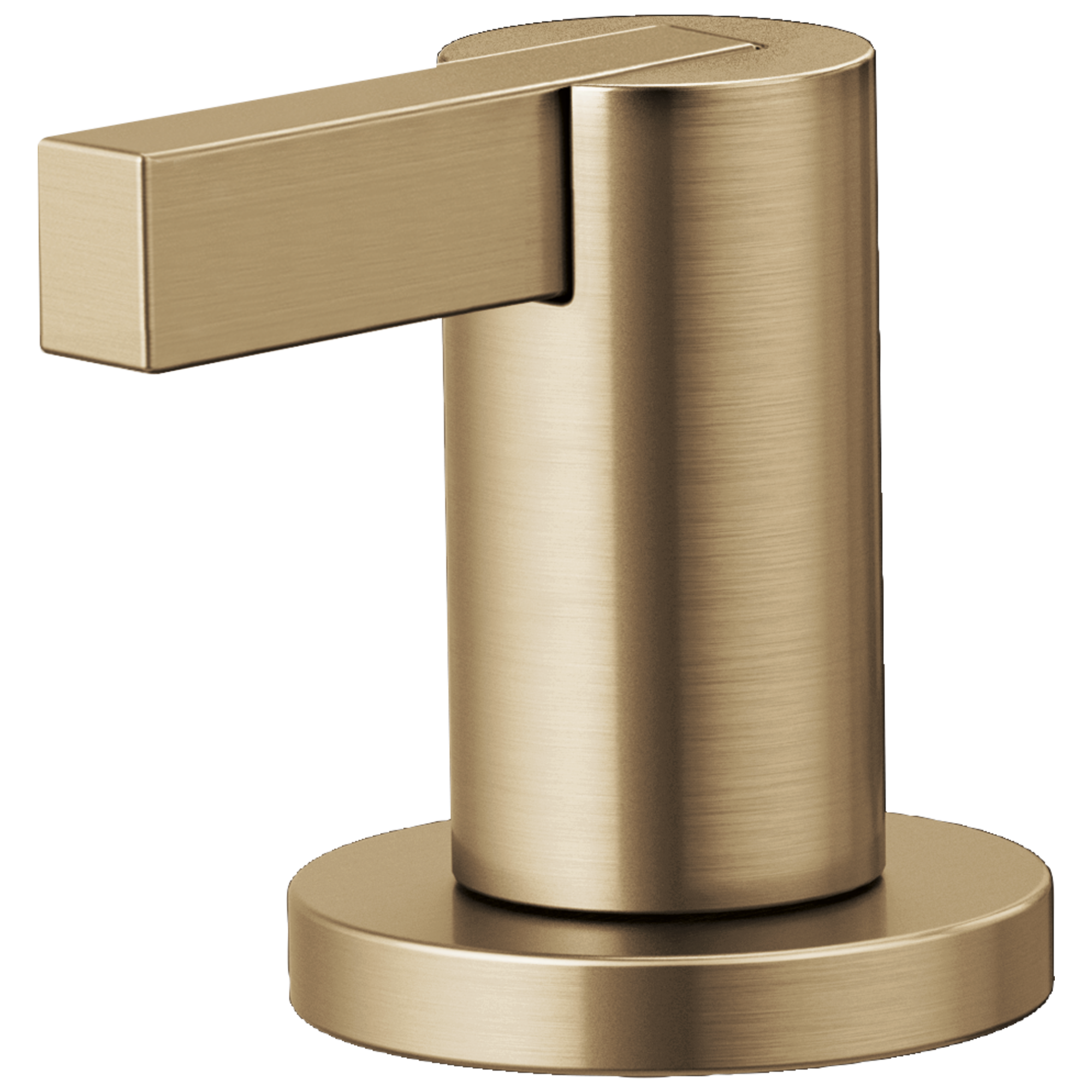 Brizo Litze®: Widespread Lavatory Extended Lever Handle Kit - Maison&Co.