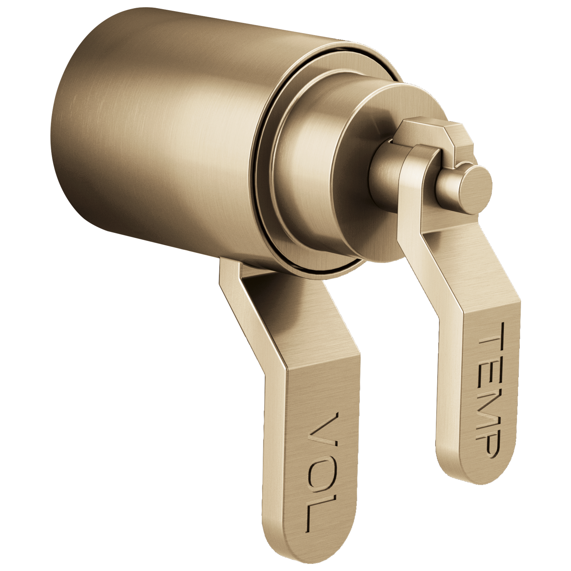 Brizo Litze®: TempAssure® Thermostatic Valve Trim Industrial Lever Handle Kit - Maison&Co.