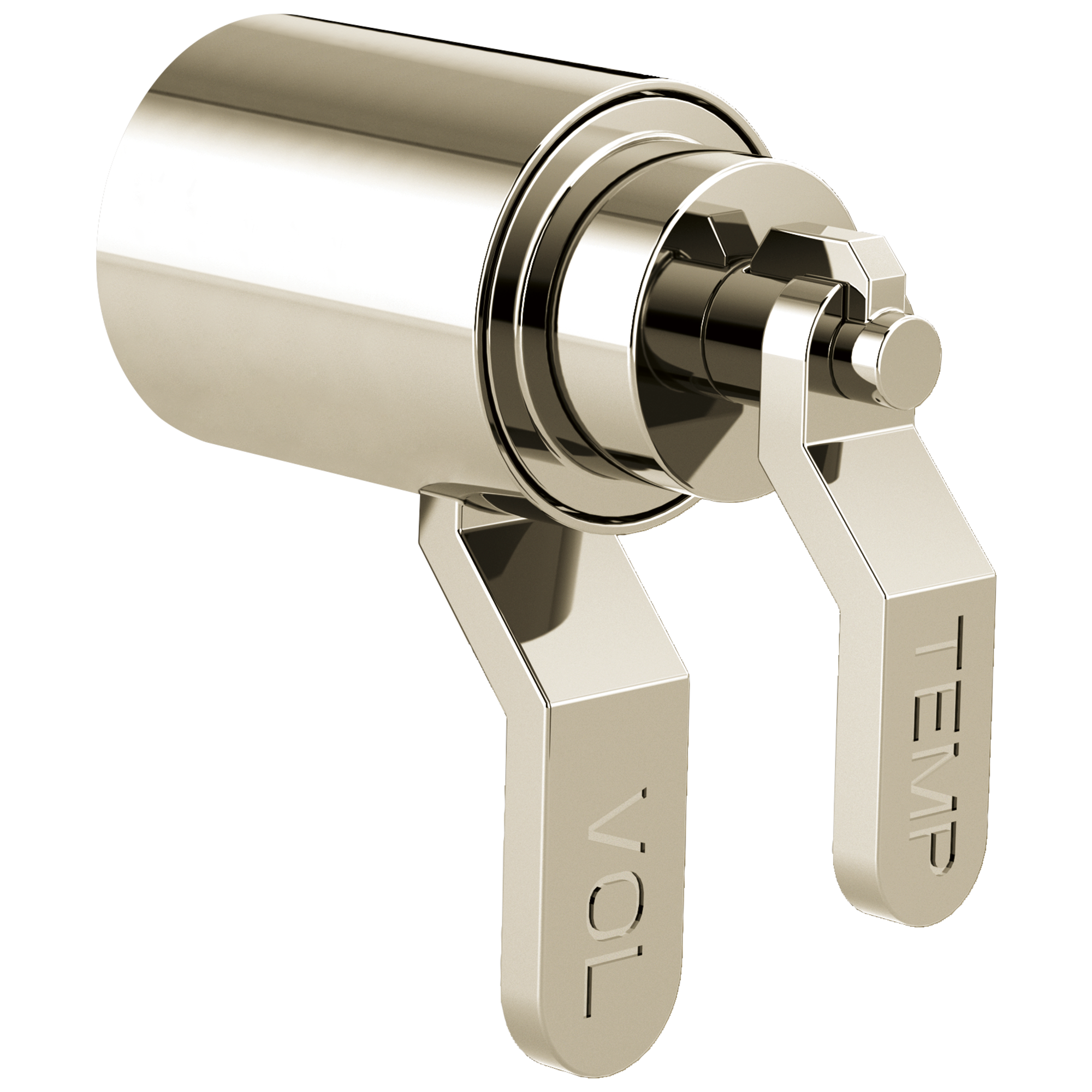 Brizo Litze®: TempAssure® Thermostatic Valve Trim Industrial Lever Handle Kit - Maison&Co.