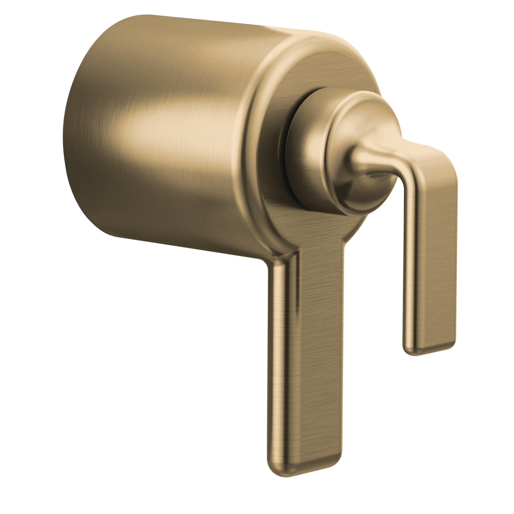 Brizo Allaria™: TempAssure® Thermostatic Valve Trim Twist Handle Kit - Maison&Co.