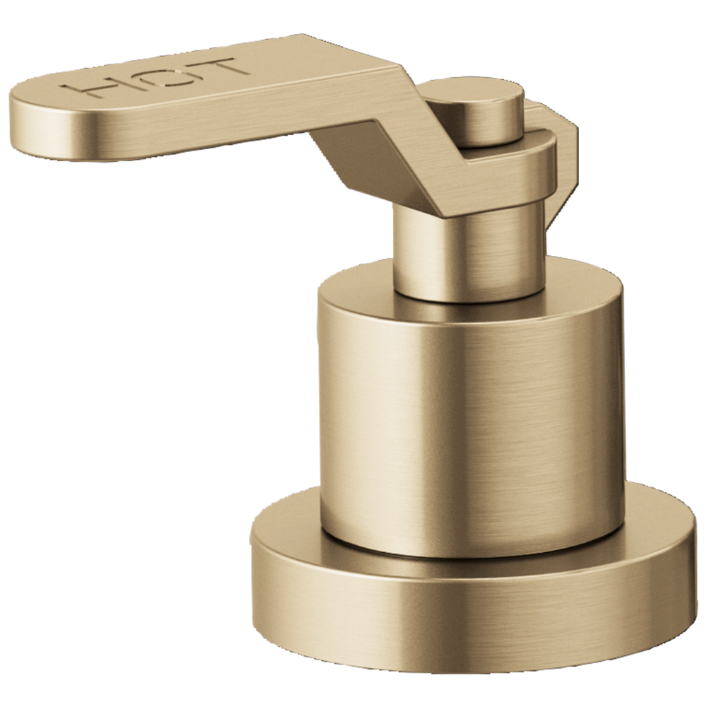 Brizo Litze®: Roman Tub Faucet Industrial Lever Handle Kit