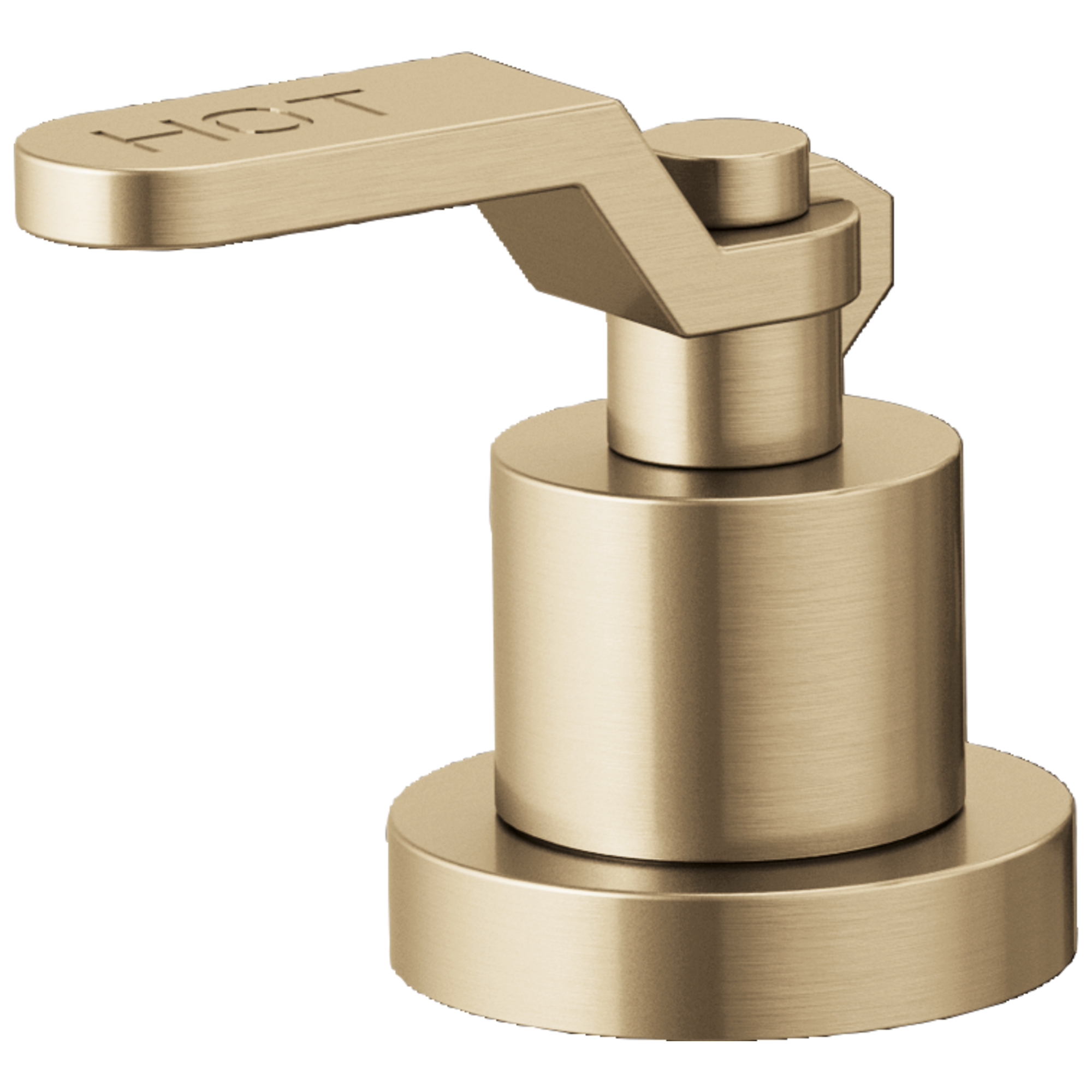 Brizo Litze®: Roman Tub Faucet Industrial Lever Handle Kit - Maison&Co.