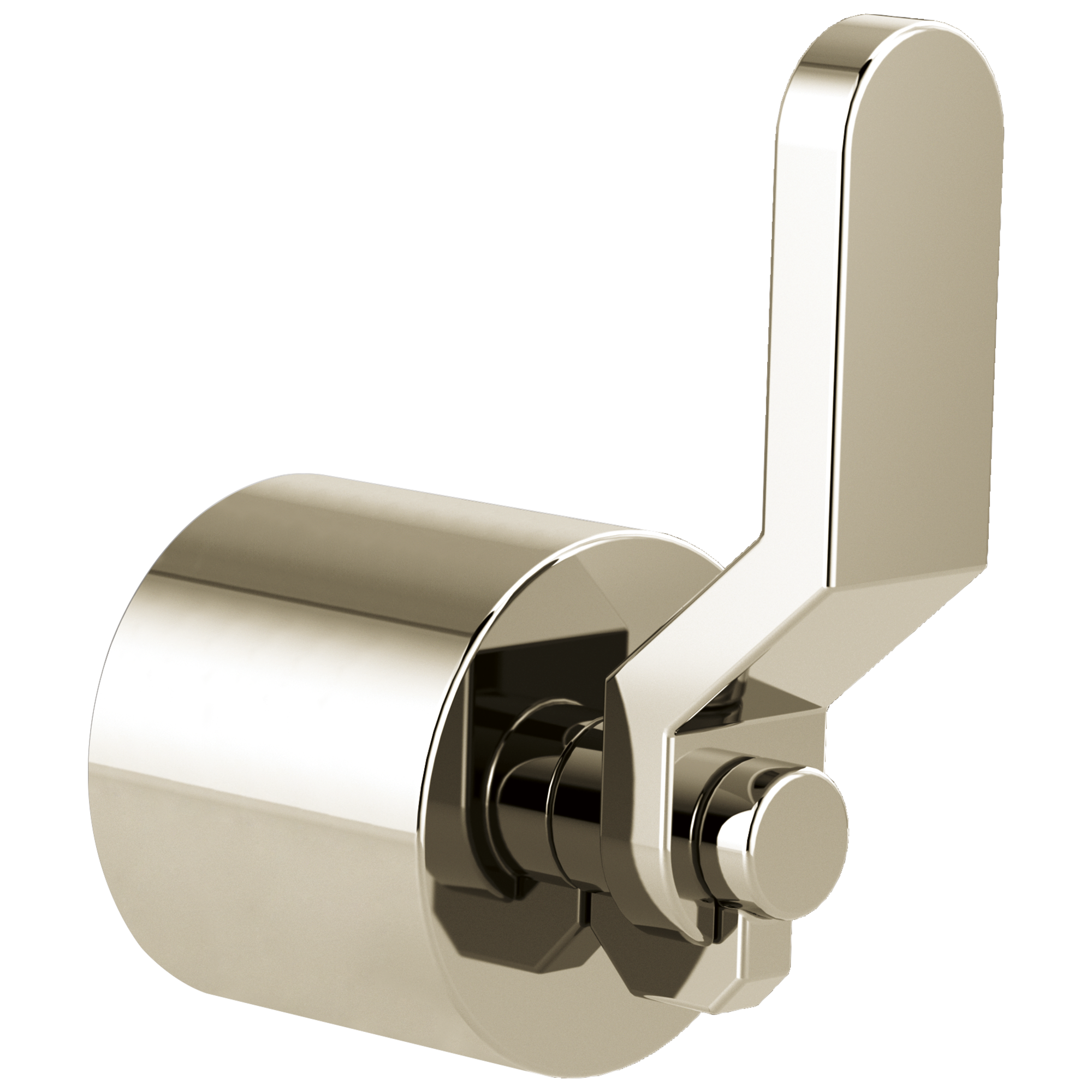 Brizo Litze®: Single-Handle Floor Mount Tub Filler Industrial Lever Handle Kit - Maison&Co.