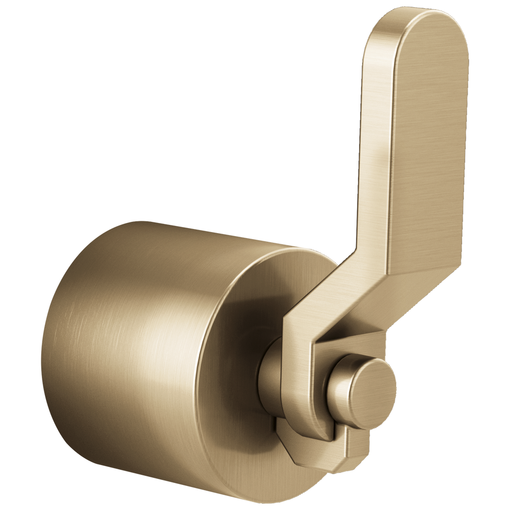 Brizo Litze®: 3 And 6 Setting Diverter Trim Industrial Lever Handle Kit - Maison&Co.