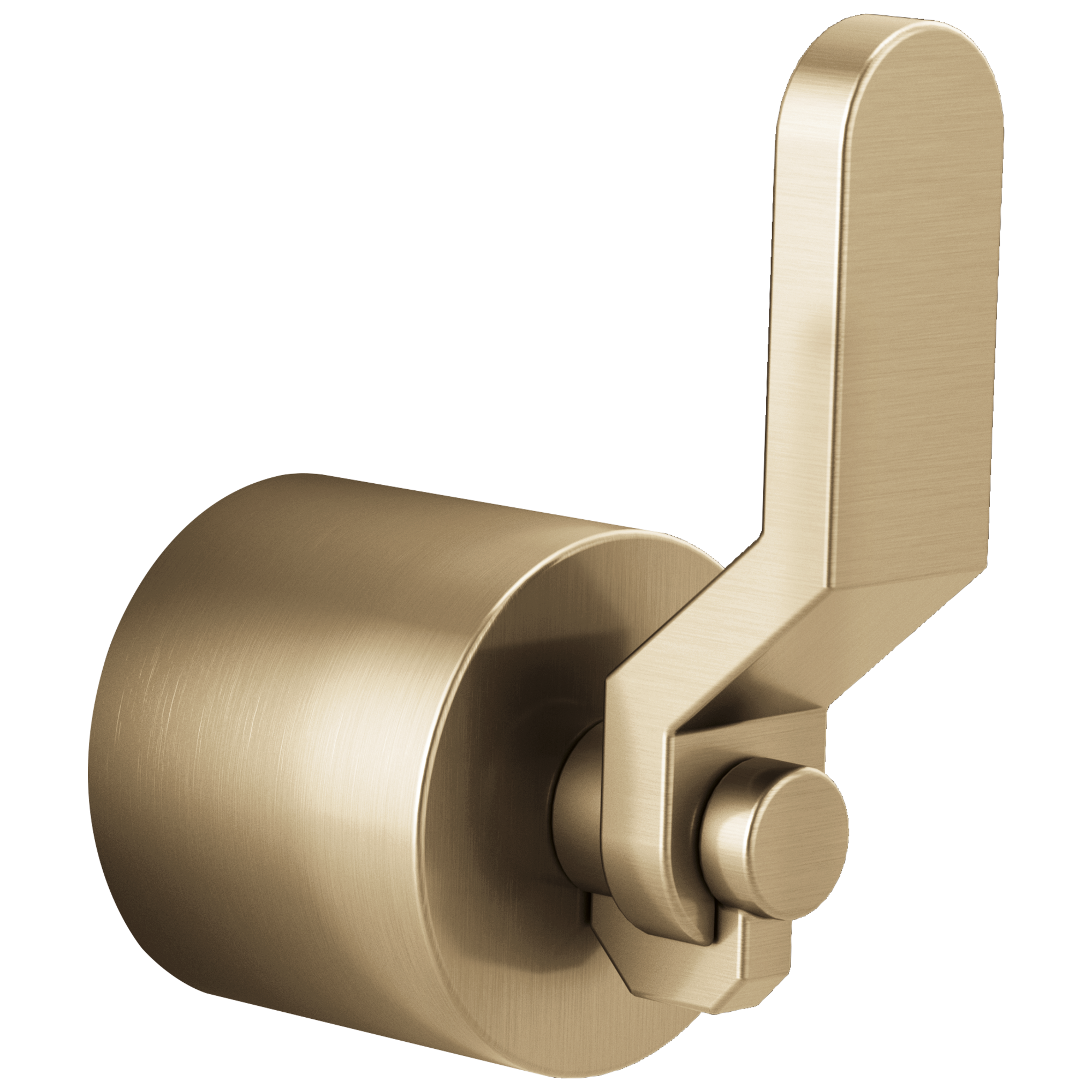 Brizo Litze®: 3 And 6 Setting Diverter Trim Industrial Lever Handle Kit - Maison&Co.