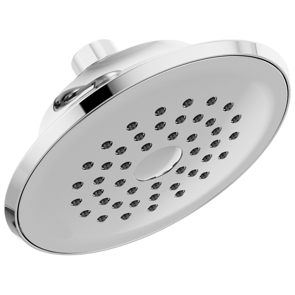 Peerless Elmhurst®: 1-Setting Shower Head - Maison&Co.