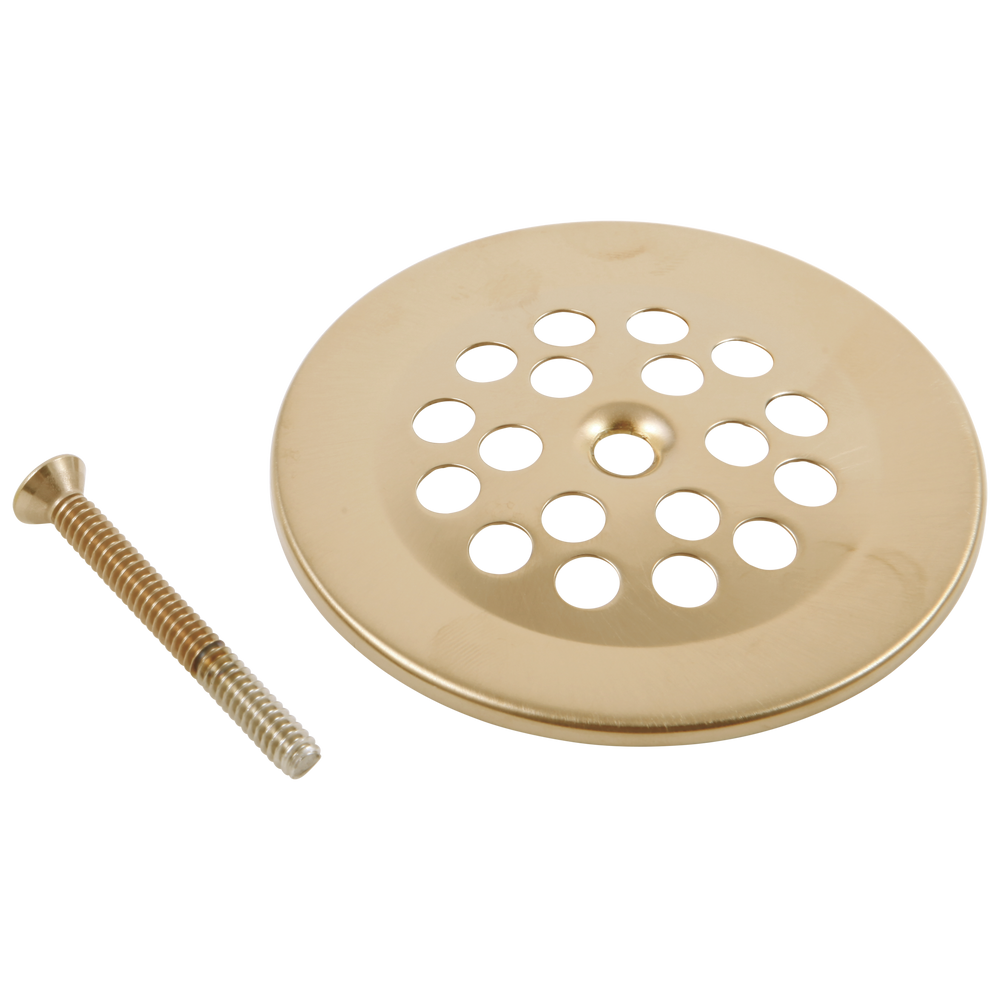 Brizo Other: Dome Strainer with Screw