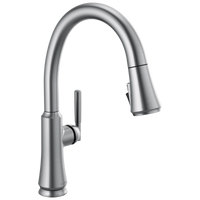 Delta - Single Handle Pull Down Kitchen Faucet - Arctic Stainless - 9179-AR-DST