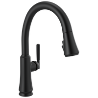 Delta - Single Handle Pull Down Kitchen Faucet - Matte Black - 9179-BL-DST