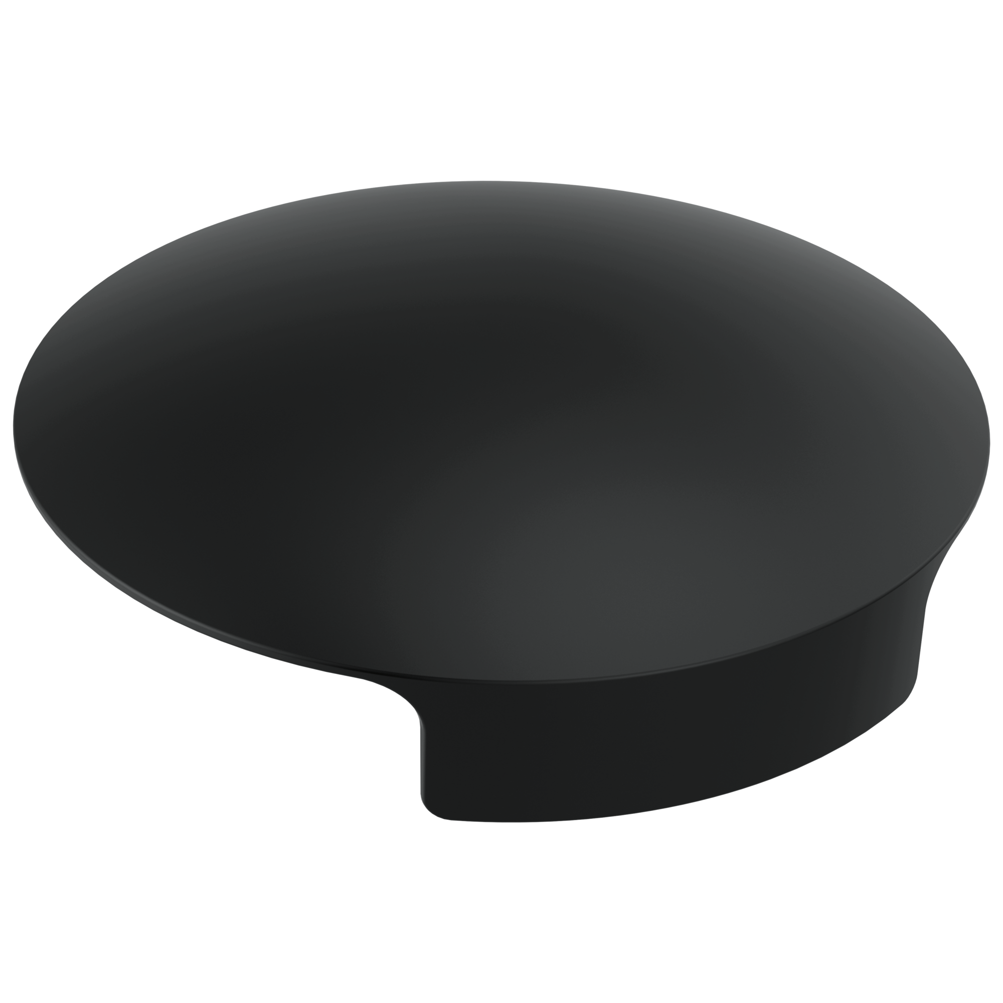 Delta - Glass Rinser Cover - Matte Black - RP101289BL