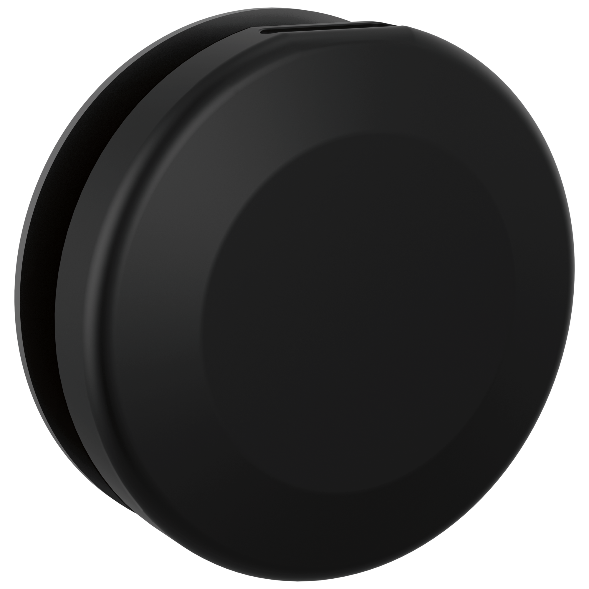 Delta - Round Steam Head - Matte Black - RP103308BL