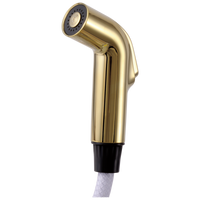 Delta - Side Spray & Hose Assembly - Polished Brass - RP28900PB