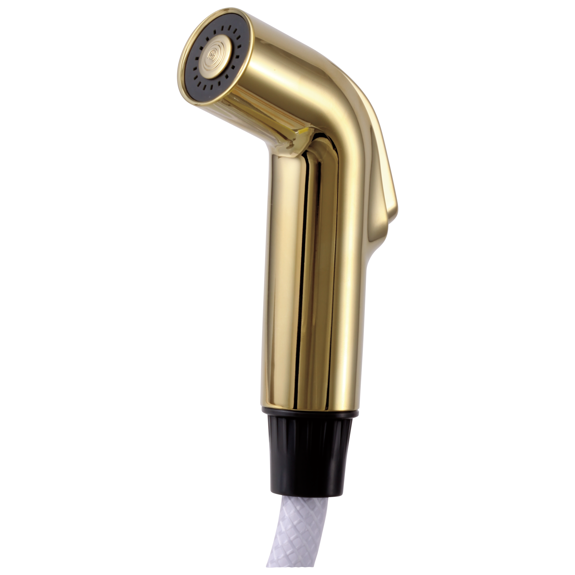 Delta - Side Spray & Hose Assembly - Polished Brass - RP28900PB