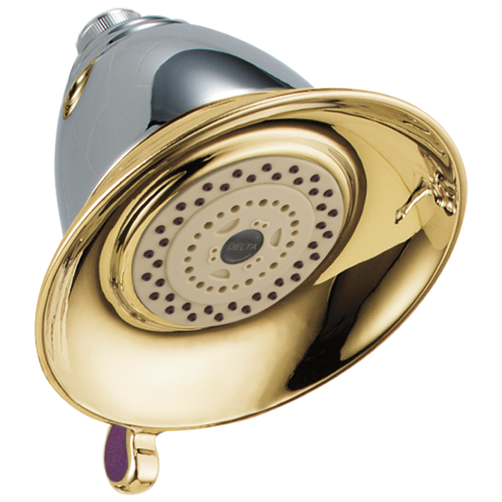 Delta - Premium 3-Setting Shower Head - Chrome / Brass - RP34355CB