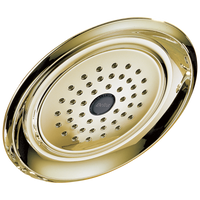 Delta - Single-Setting Raincan Shower Head - Polished Brass - RP48686PB